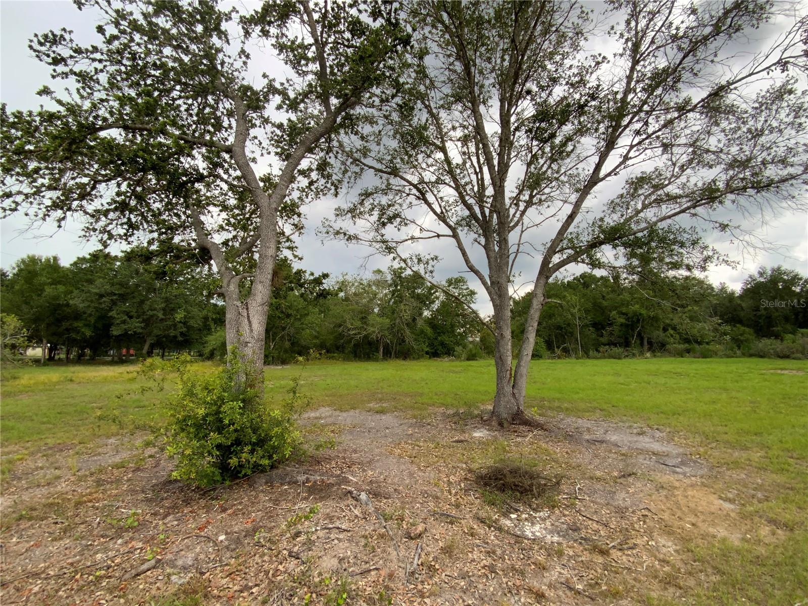 Listing photo id 60 for 1201 Childress Avenue