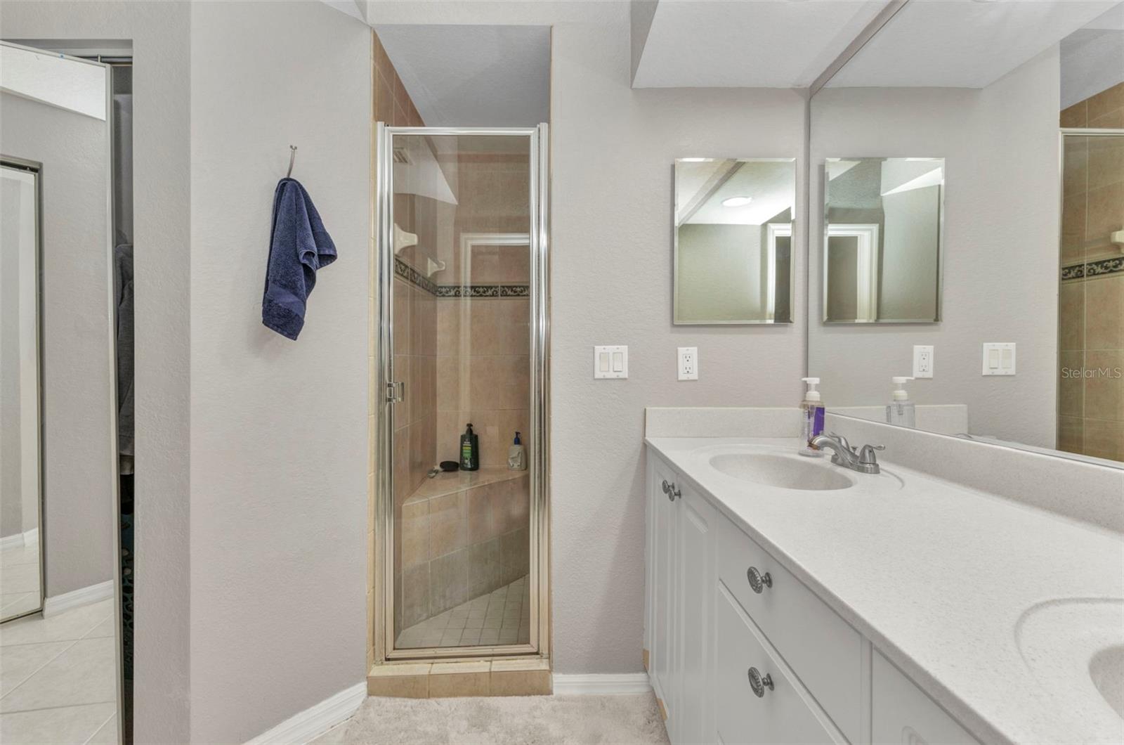Image 19 of 30 For 3715 Albacete Circle 93