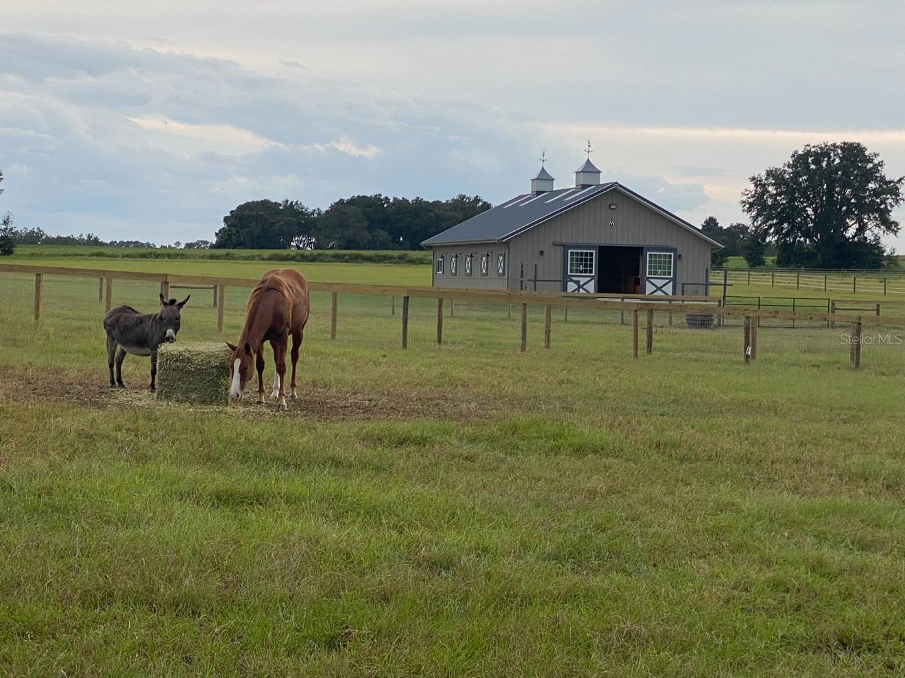 Image 9 of 20 For 1500 210th Avenue Barn