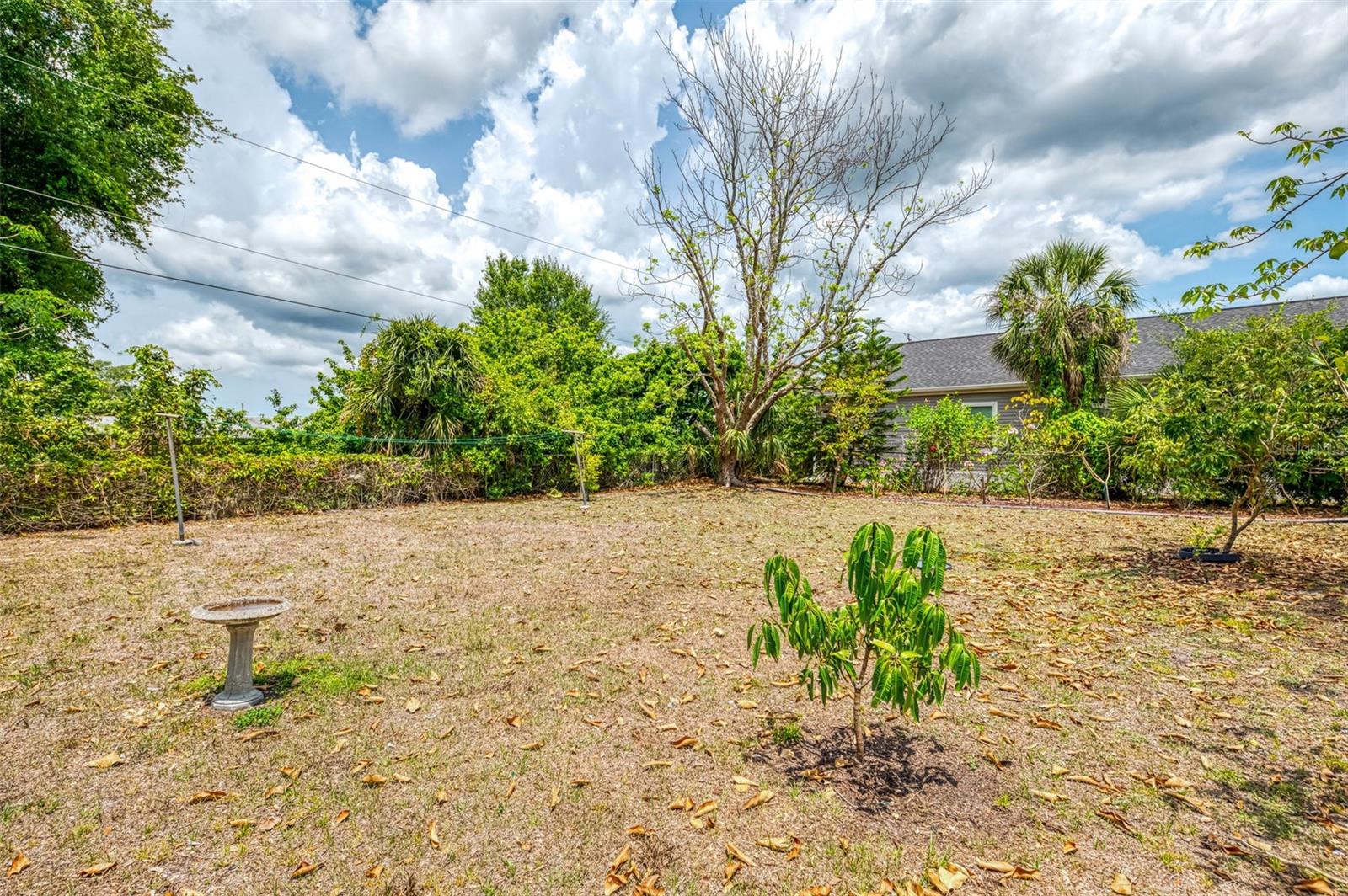 Image 42 of 48 For 12018 Saragossa Lane