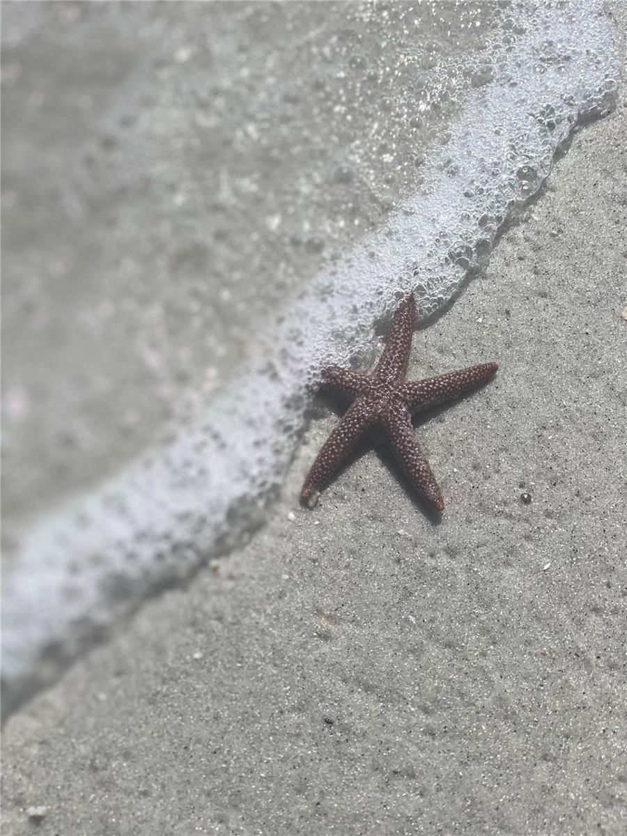 Image 20 of 23 For 503 Fleetwood Street