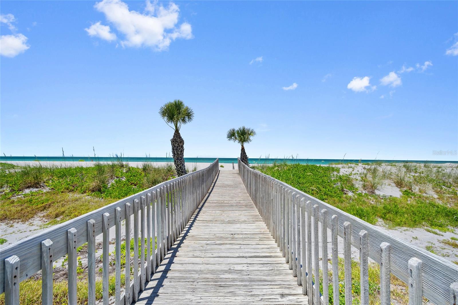 Image 42 of 49 For 876 Golden Beach Boulevard 876