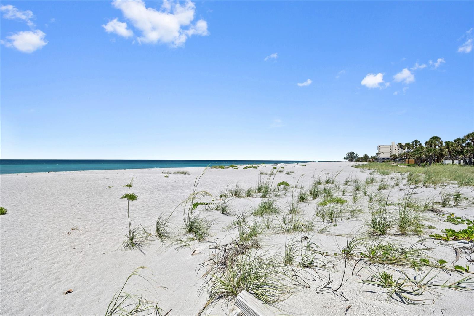 Image 43 of 49 For 876 Golden Beach Boulevard 876