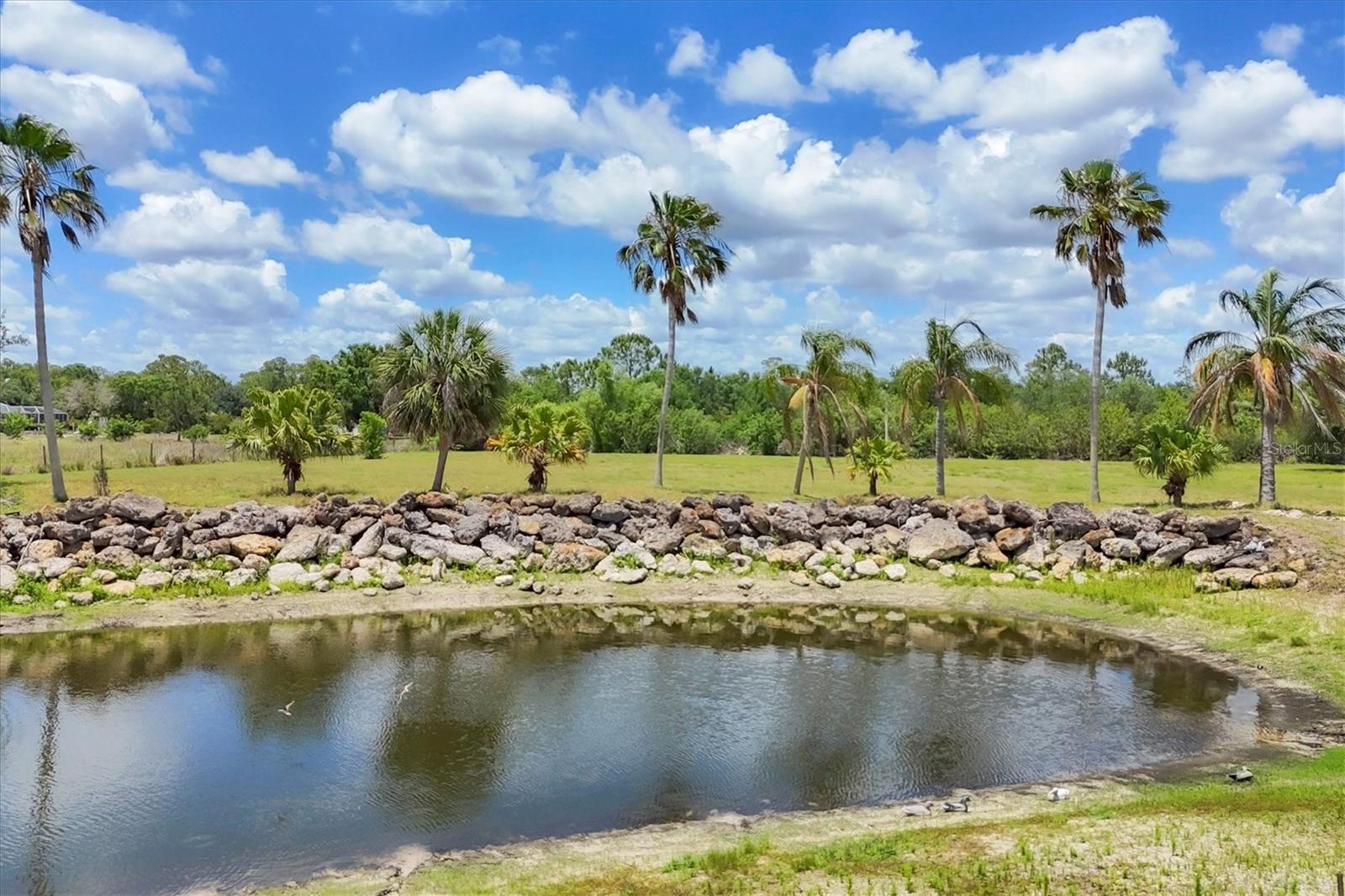 Image 54 of 59 For 6242 Tropicaire Boulevard