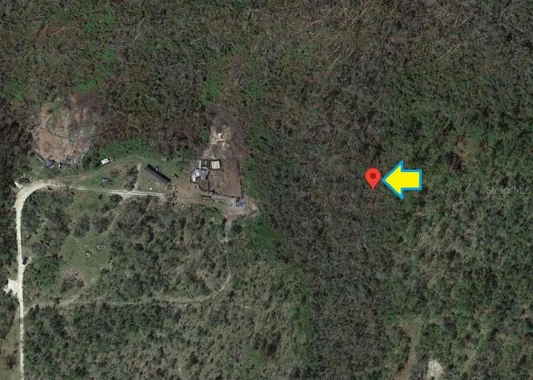 Image 5 of 7 For  Lamont Road 