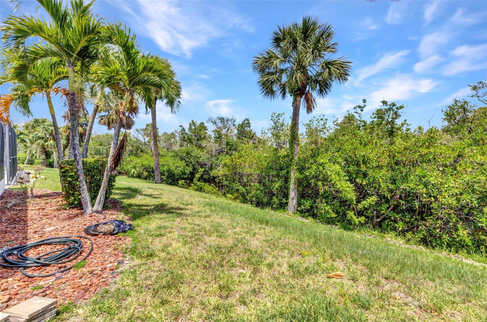 Image 38 of 54 For 5046 San Rocco Court
