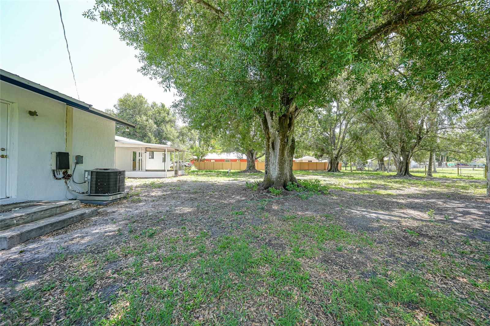 Image 36 of 54 For 1761 Plum Drive