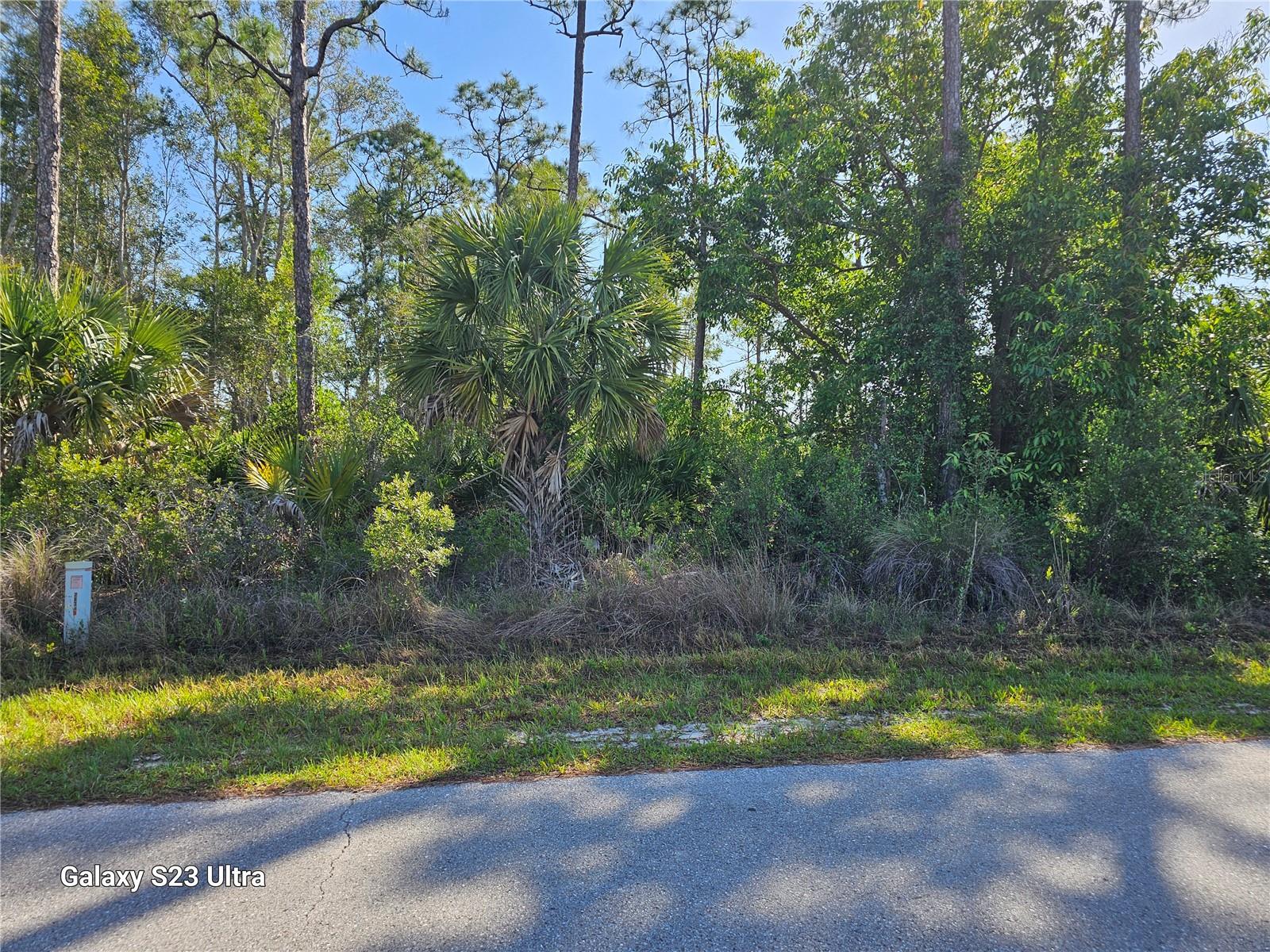 Listing Details for 12392 Catalina Drive, PUNTA GORDA, FL 33955