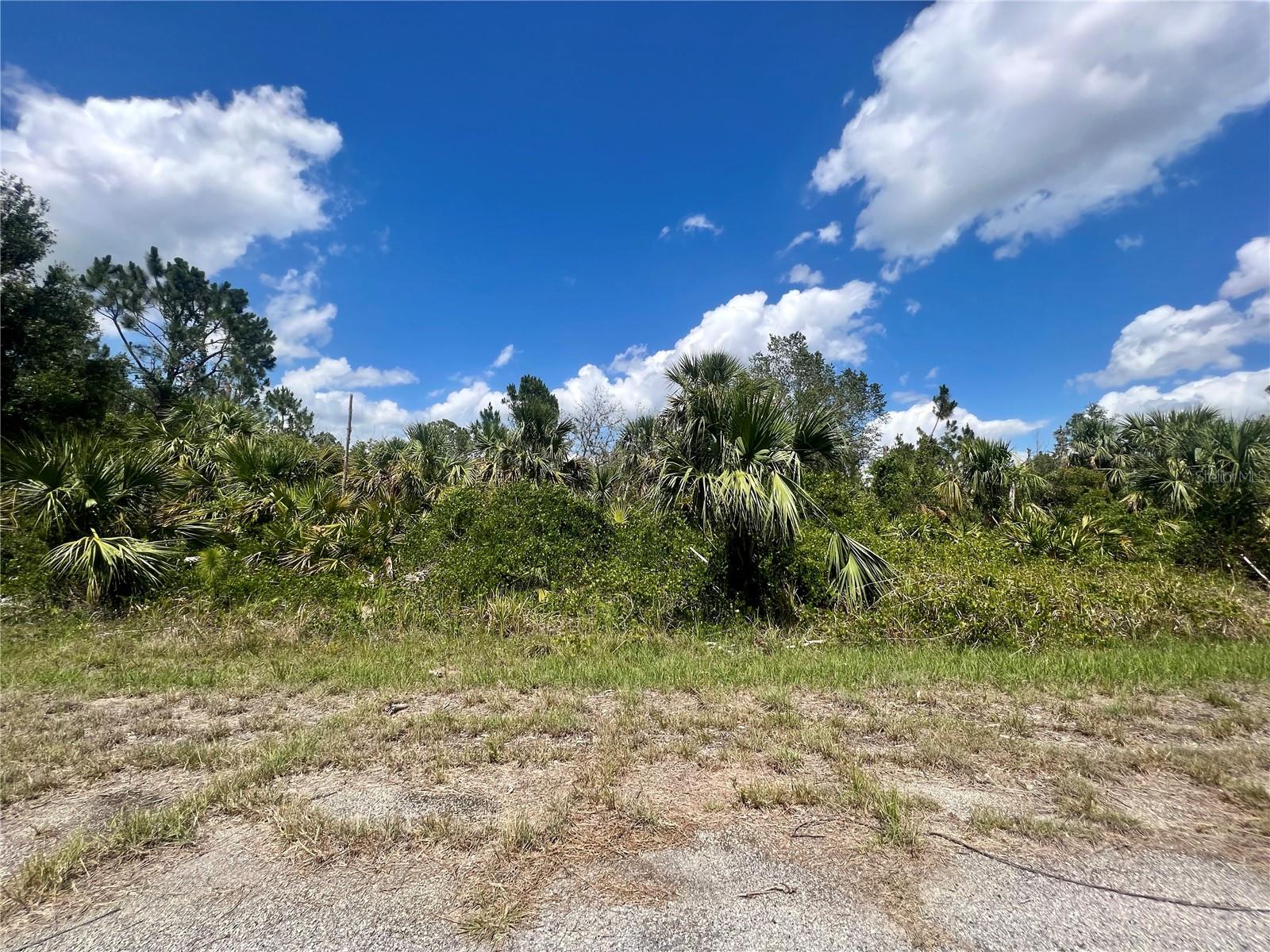 Details for Chinabox Street, NORTH PORT, FL 34288