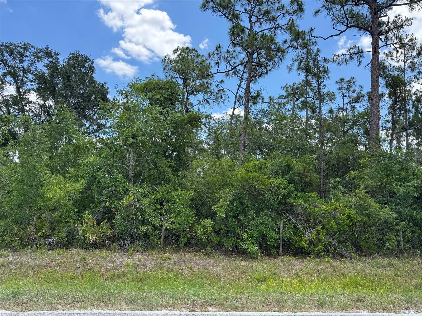 Details for Florida Road, ARCADIA, FL 34266