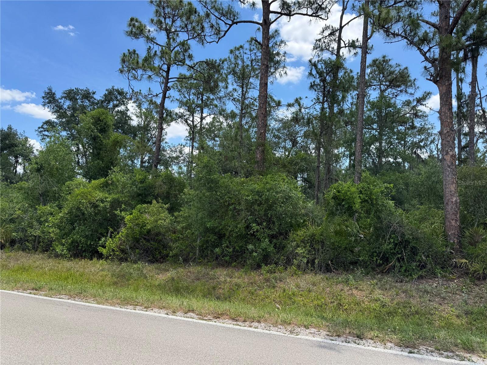 Image 2 of 4 For Florida Road