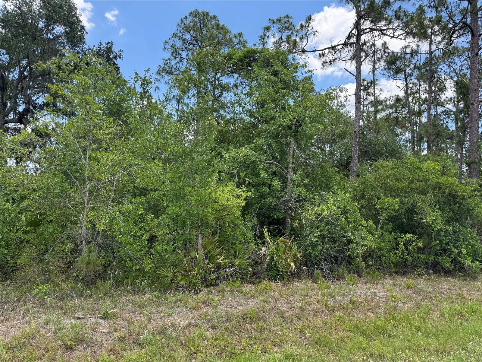 Image 3 of 4 For Florida Road