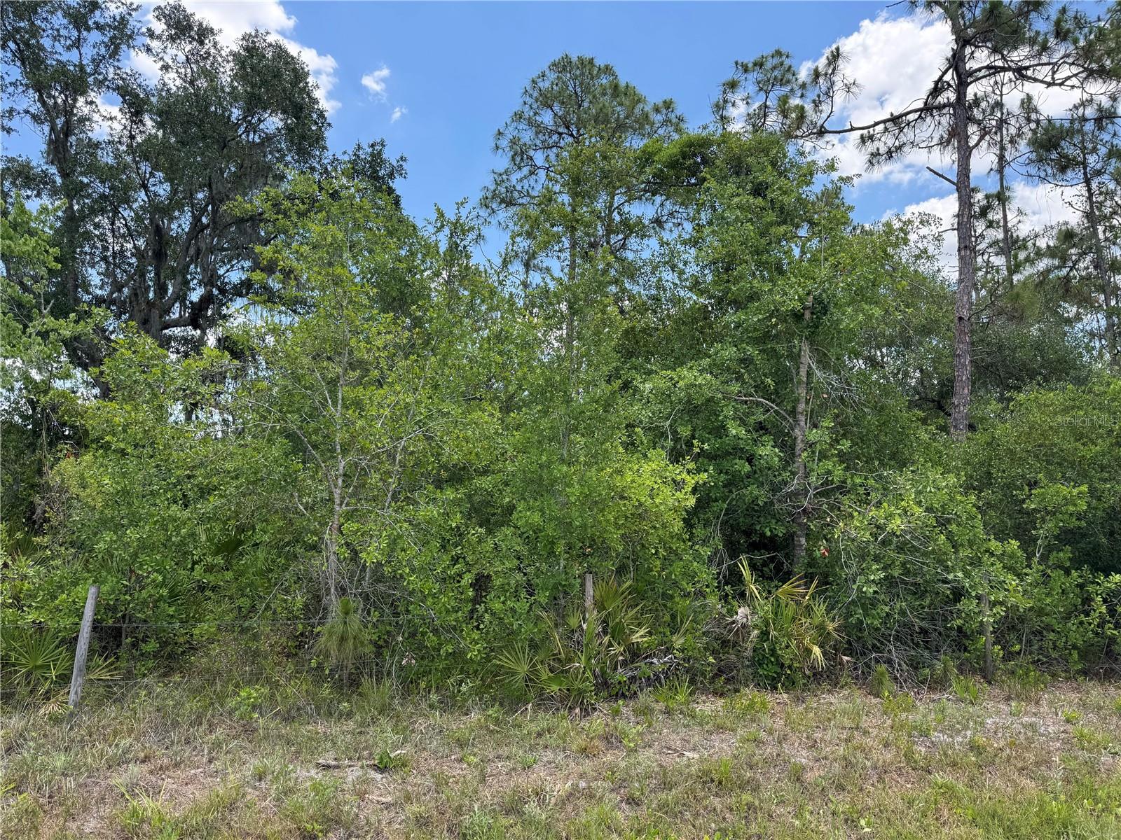 Image 4 of 4 For Florida Road