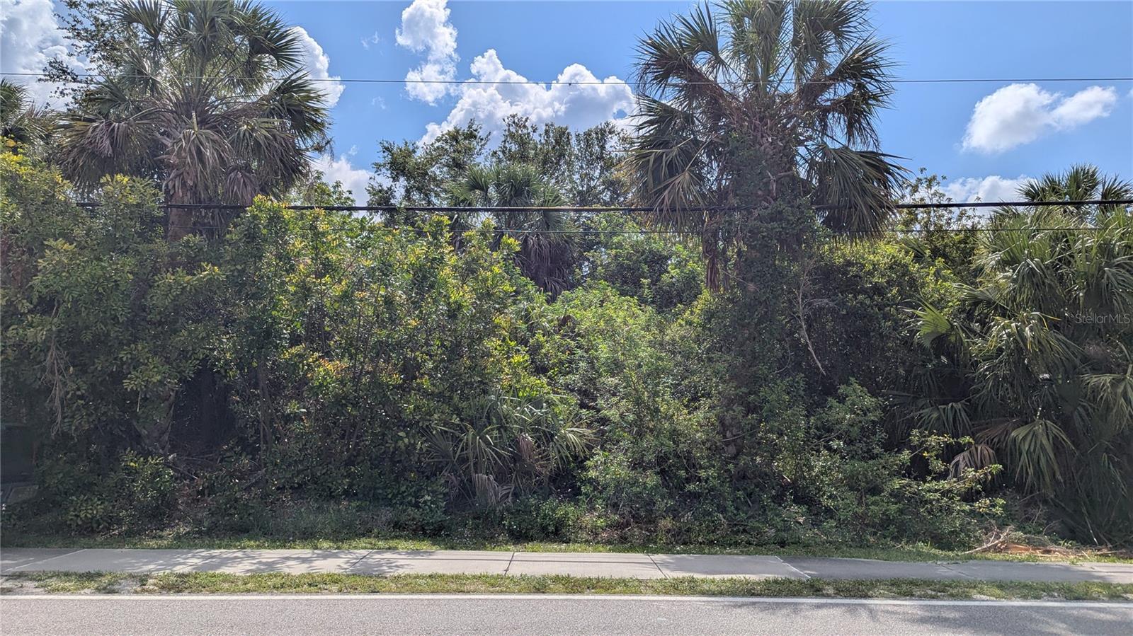 Image 10 of 12 For 2024 Pellam Boulevard