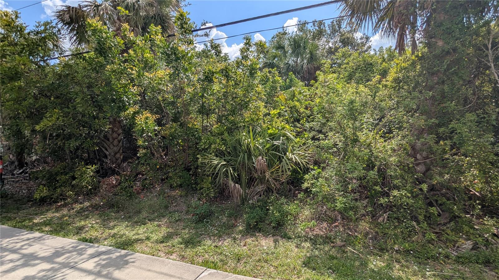 Image 11 of 12 For 2024 Pellam Boulevard