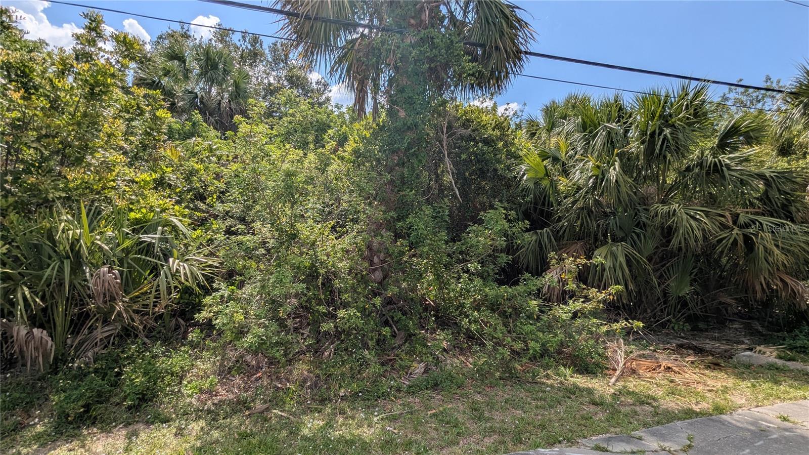 Image 12 of 12 For 2024 Pellam Boulevard