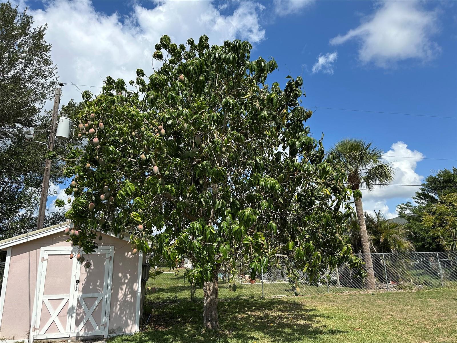 Image 37 of 47 For 4089 Yucatan Circle