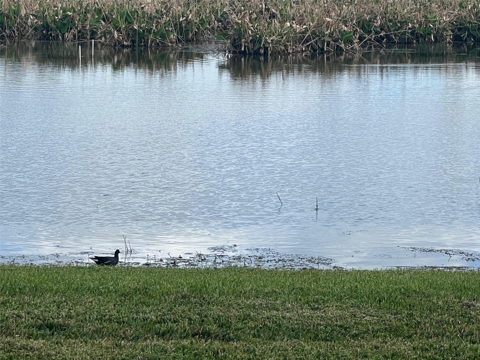 Image 23 of 28 For 2160 Heron Lake Drive #j107  107