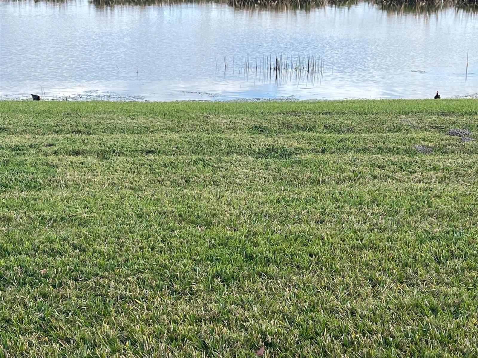 Image 24 of 28 For 2160 Heron Lake Drive #j107  107