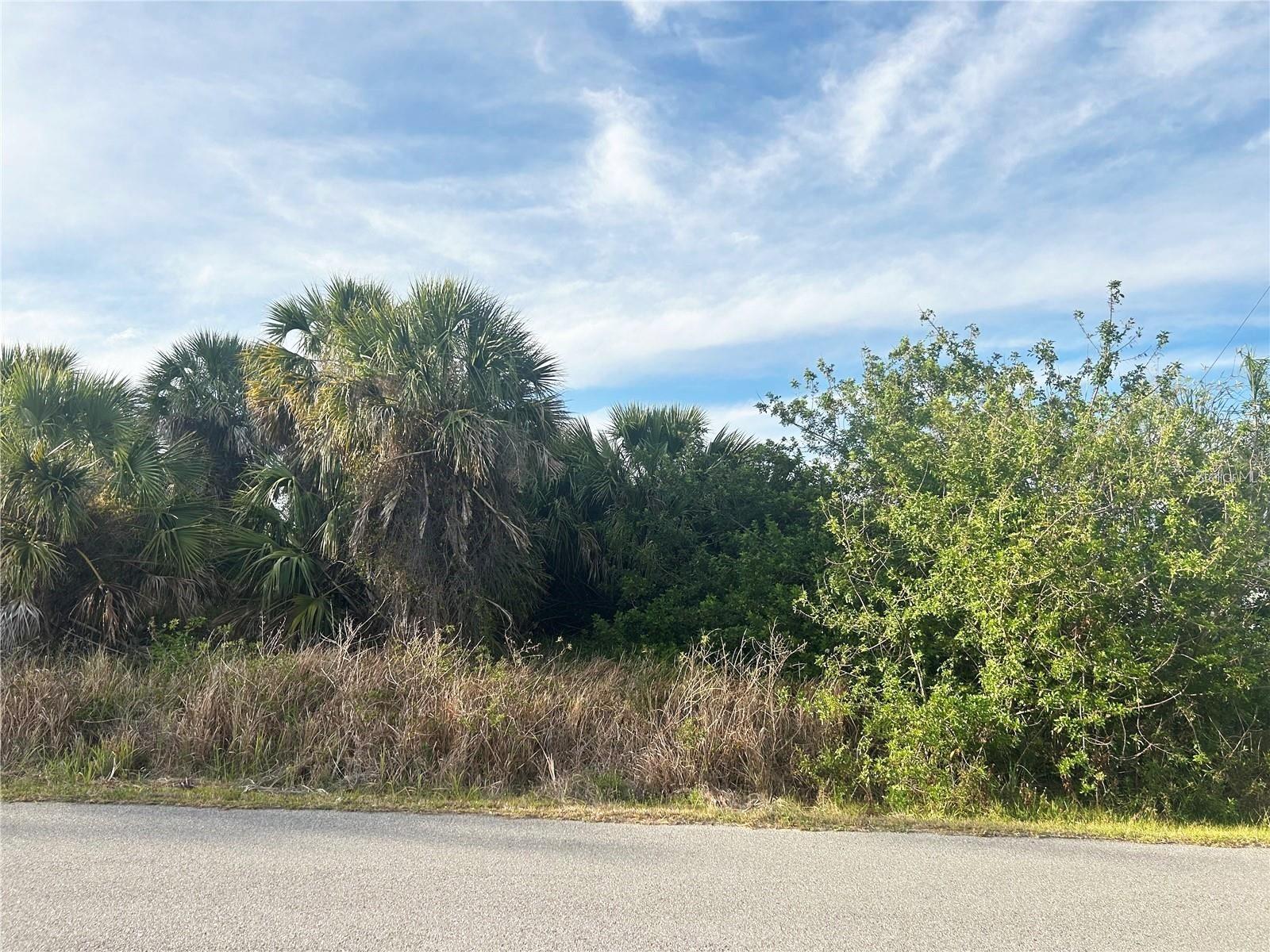 Details for Chesebro Lot #3 Avenue, NORTH PORT, FL 34287