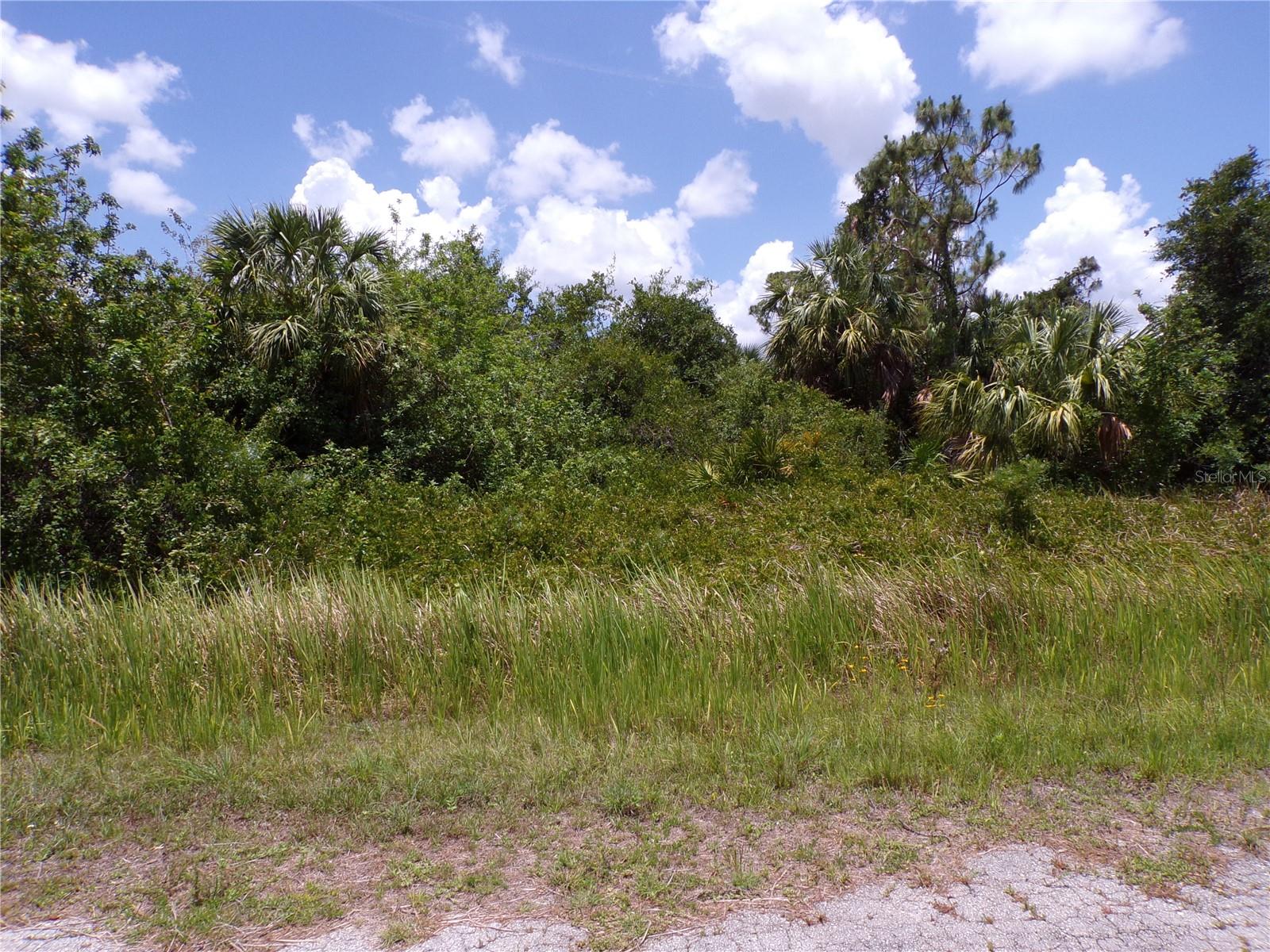 Details for Custer Circle, NORTH PORT, FL 34288