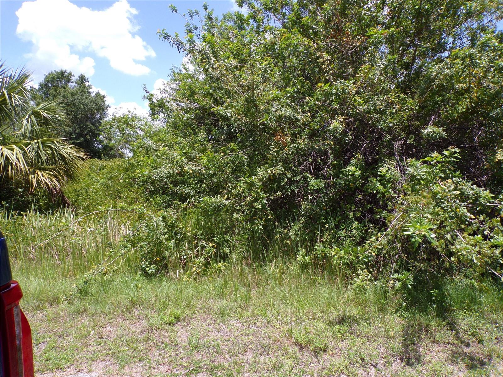Image 5 of 10 For Custer Circle