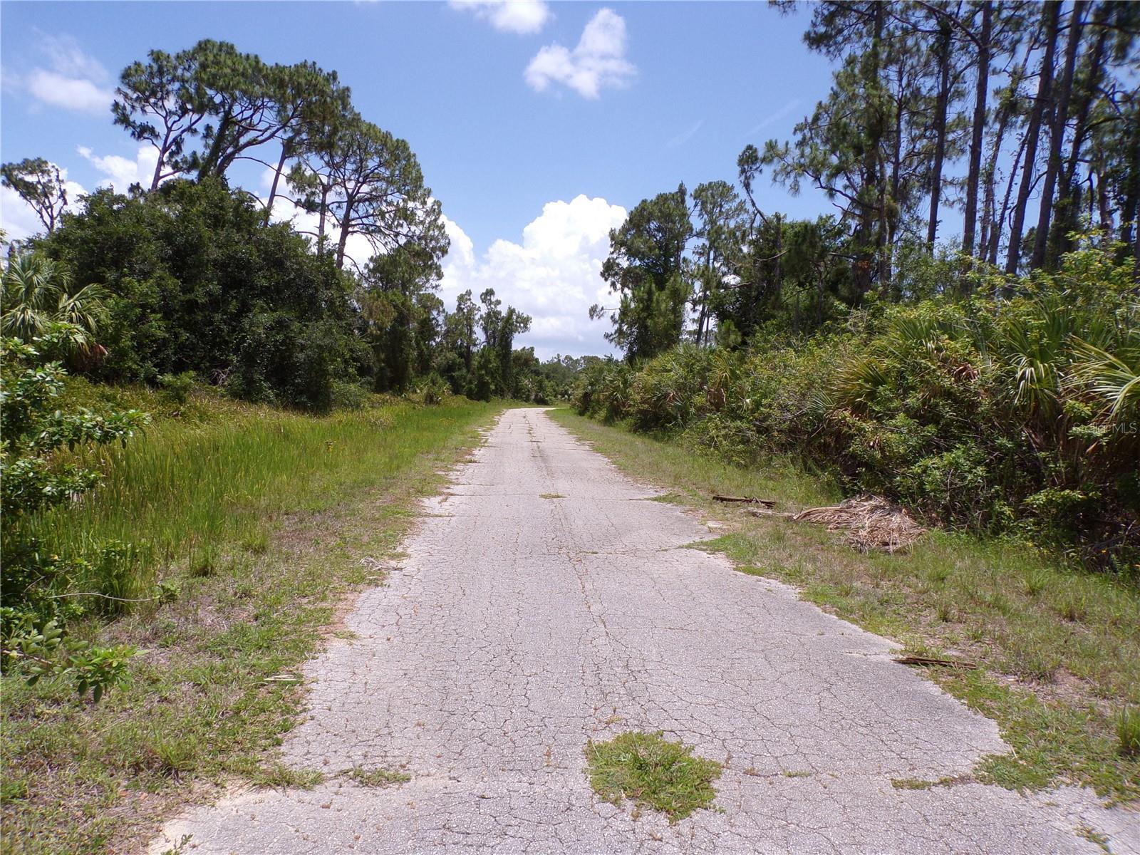 Image 9 of 10 For Custer Circle