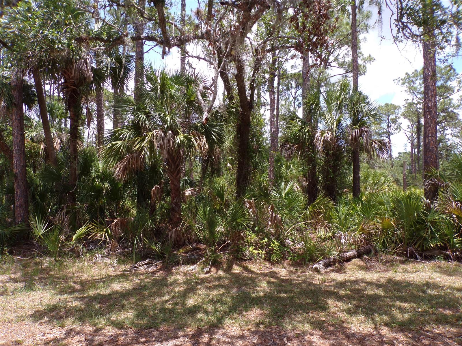 Details for 14018 Rider Avenue, PORT CHARLOTTE, FL 33953