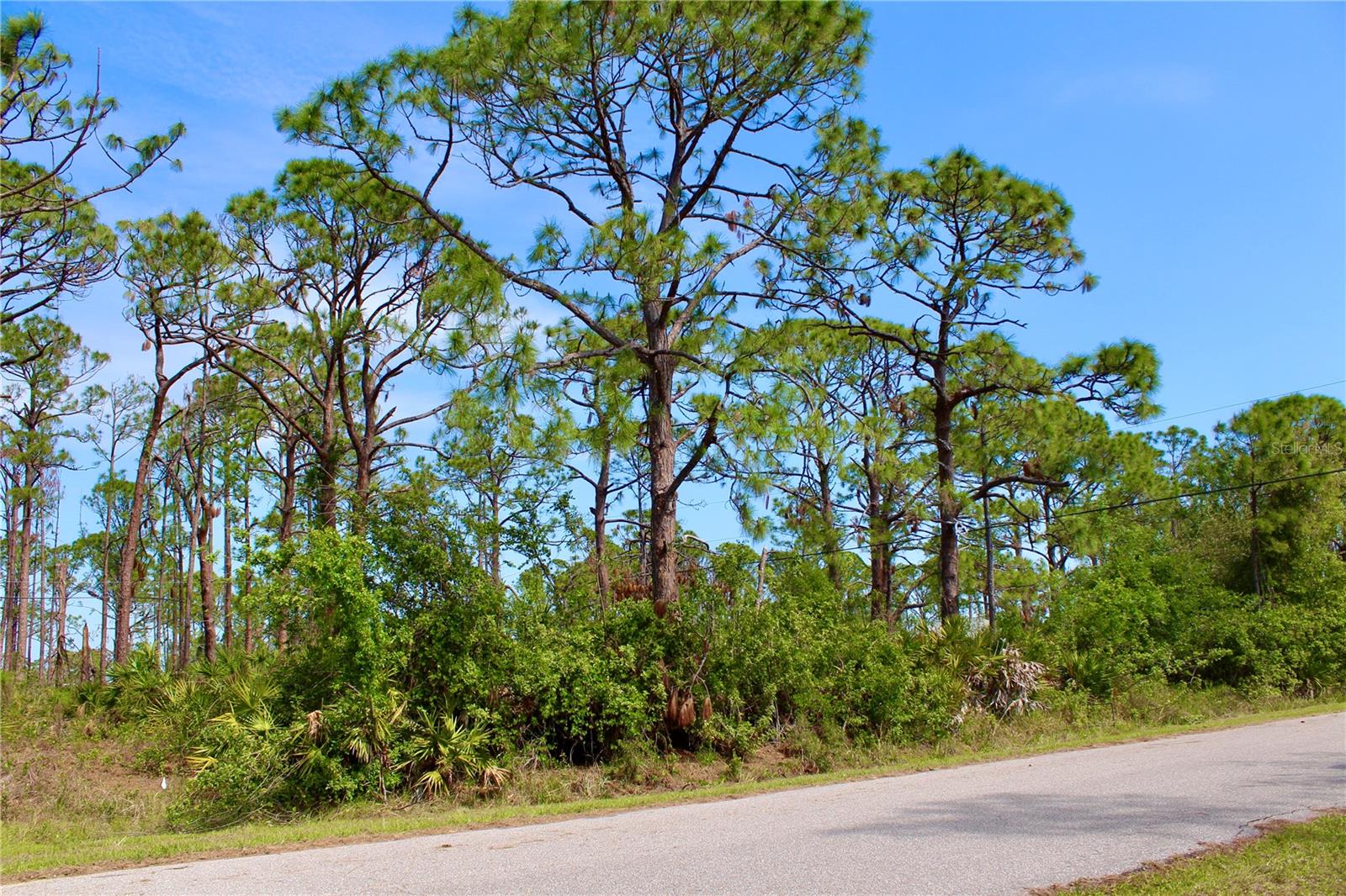 Image 5 of 8 For 5237 Chaney Terrace
