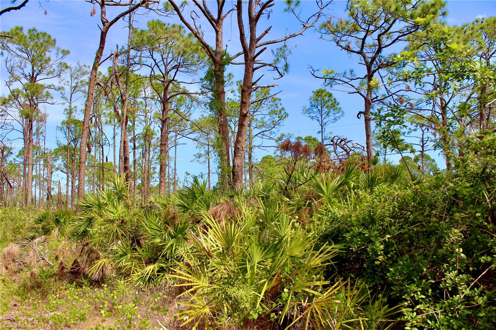Image 8 of 8 For 5237 Chaney Terrace