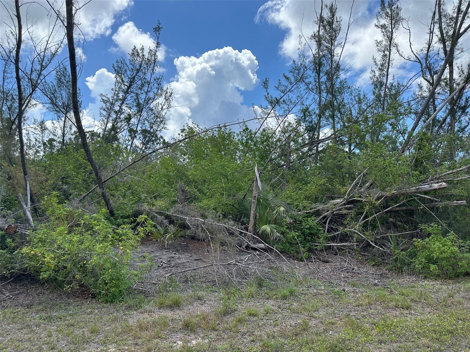 Image 2 of 10 For 10792 Hatchet Circle