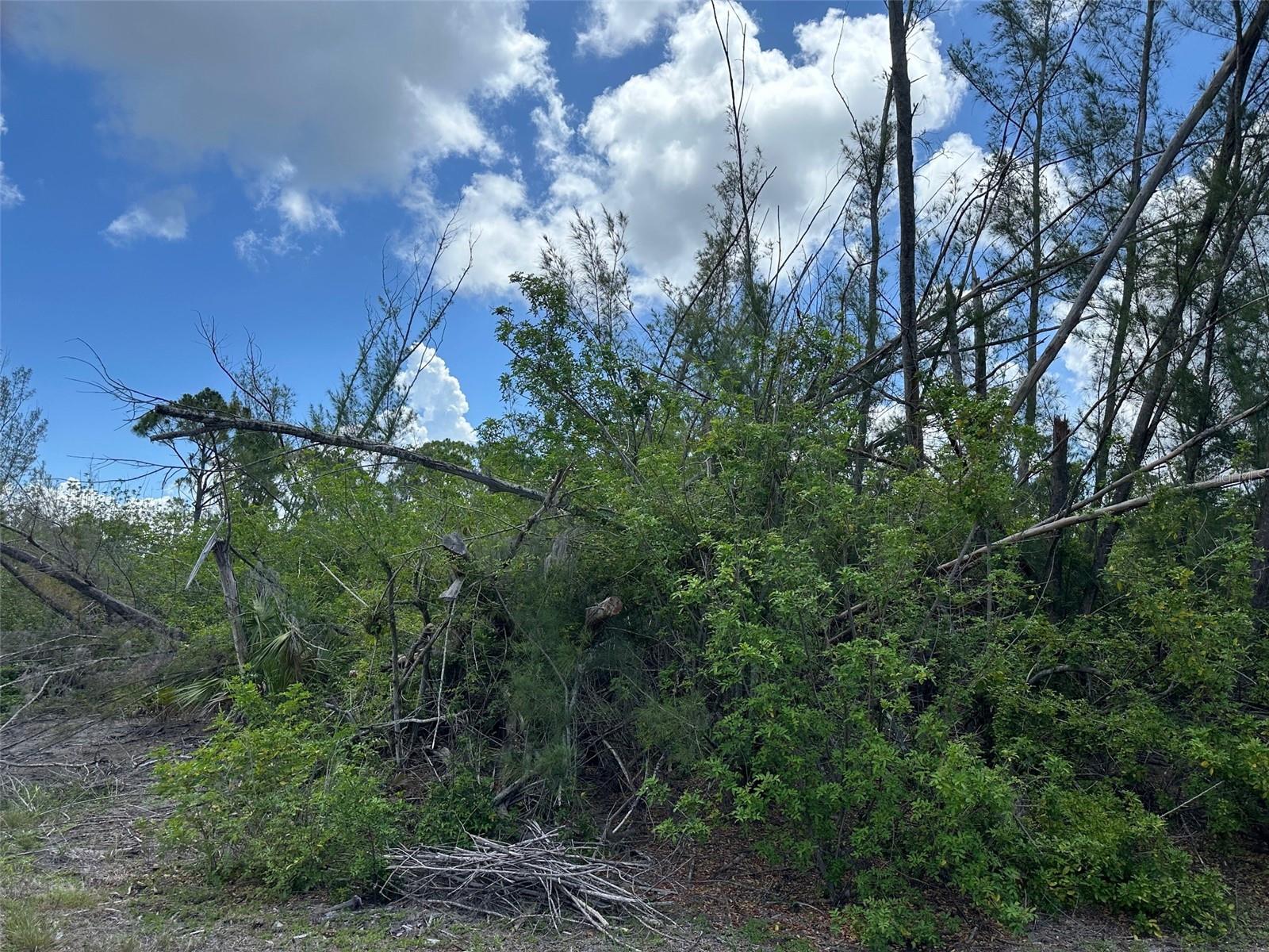 Image 3 of 10 For 10792 Hatchet Circle