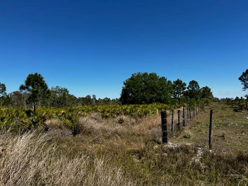 Image 10 of 43 For 5151 Chiquita Drive