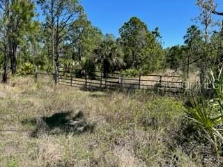 Image 12 of 43 For 5151 Chiquita Drive