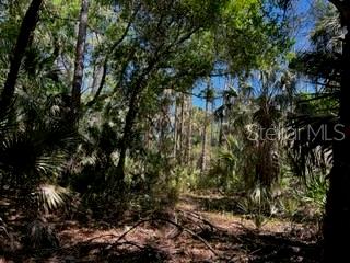 Image 15 of 43 For 5151 Chiquita Drive