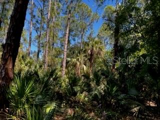 Image 17 of 43 For 5151 Chiquita Drive