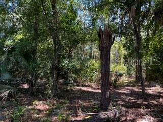 Image 18 of 43 For 5151 Chiquita Drive
