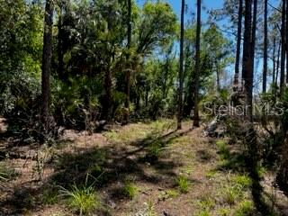 Image 20 of 43 For 5151 Chiquita Drive