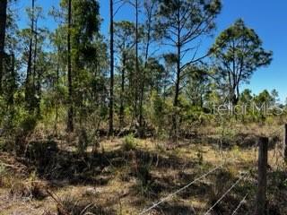 Image 21 of 43 For 5151 Chiquita Drive