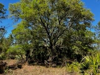 Image 29 of 43 For 5151 Chiquita Drive