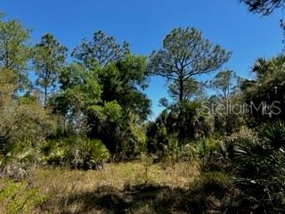 Image 31 of 43 For 5151 Chiquita Drive