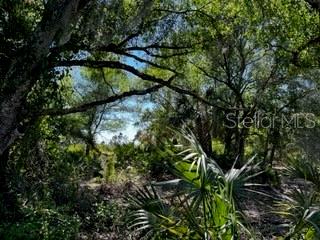 Image 41 of 43 For 5151 Chiquita Drive