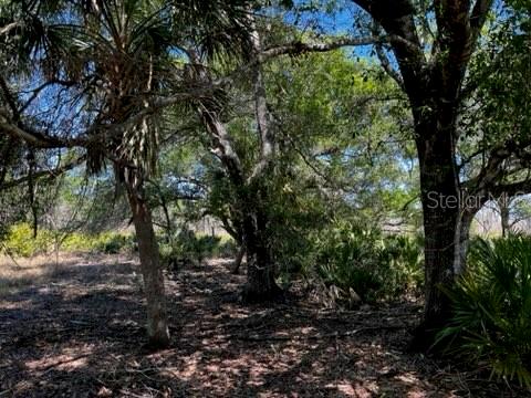 Image 42 of 43 For 5151 Chiquita Drive