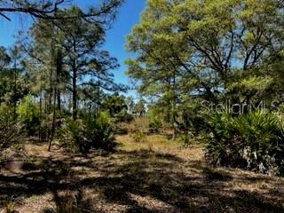 Image 43 of 43 For 5151 Chiquita Drive