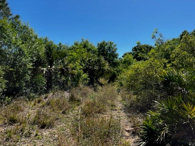 Image 9 of 43 For 5151 Chiquita Drive