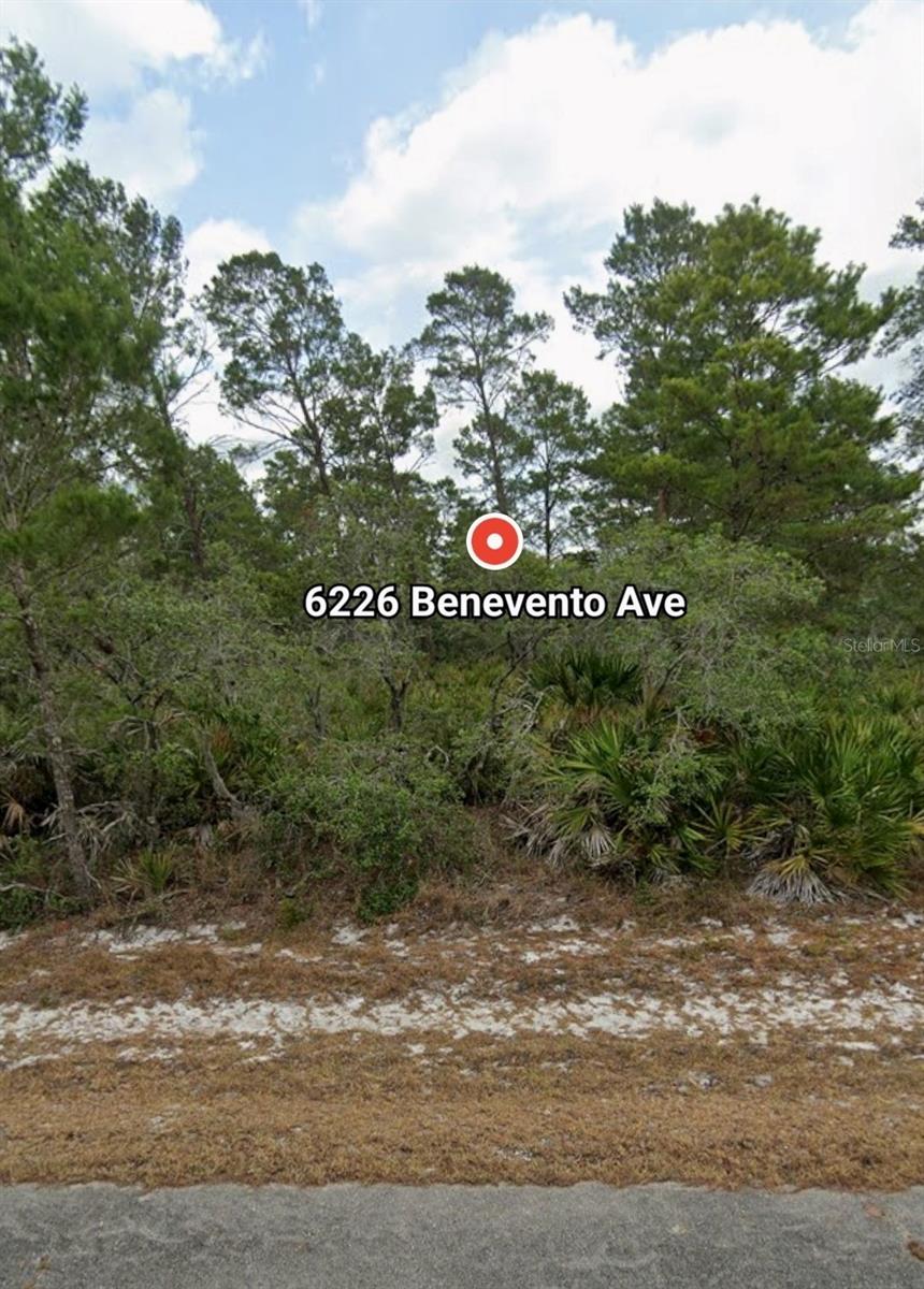 Details for 6226 Benevento Avenue, SEBRING, FL 33872