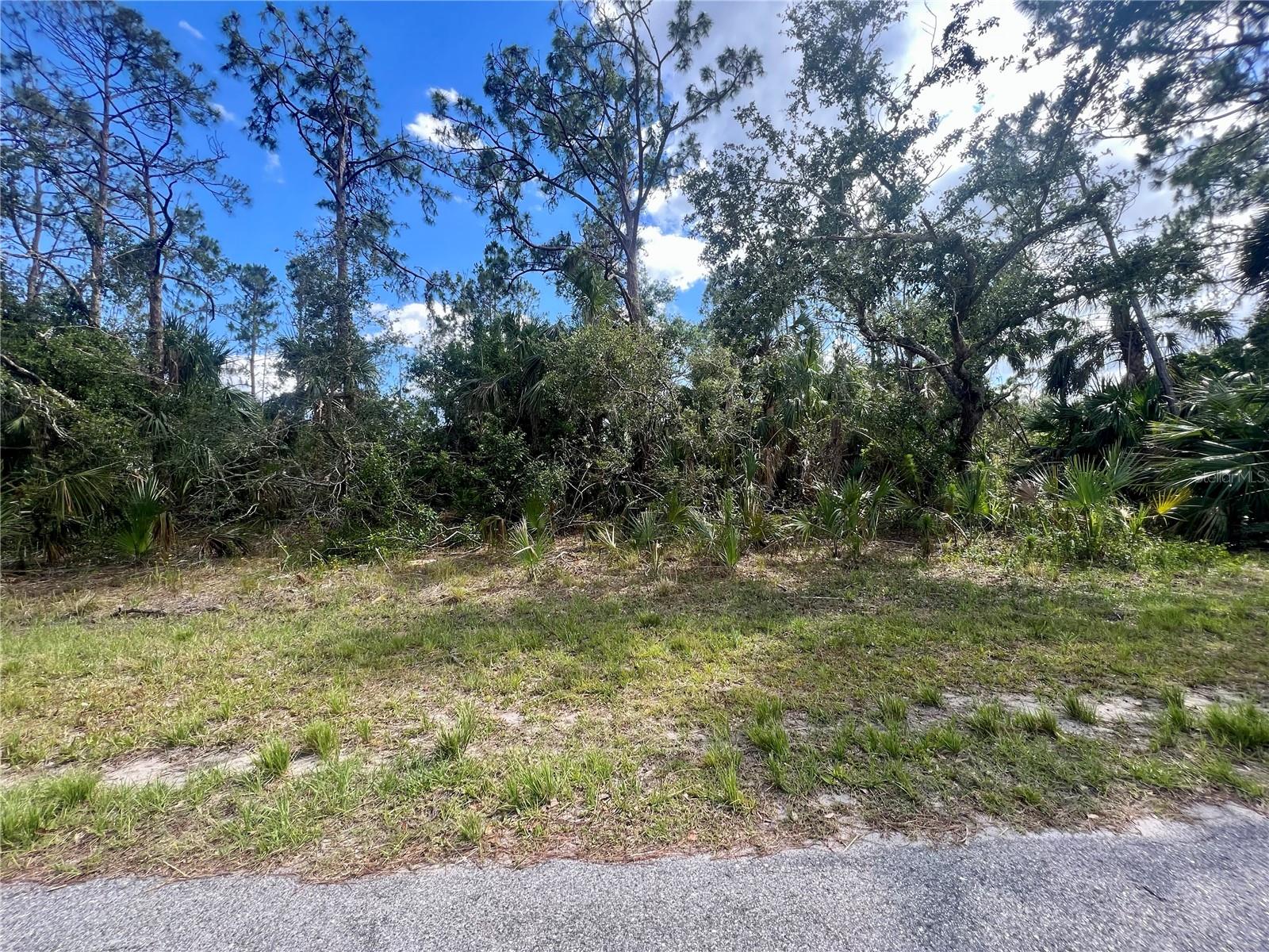 Details for  Vizza Lane , NORTH PORT, FL 34286