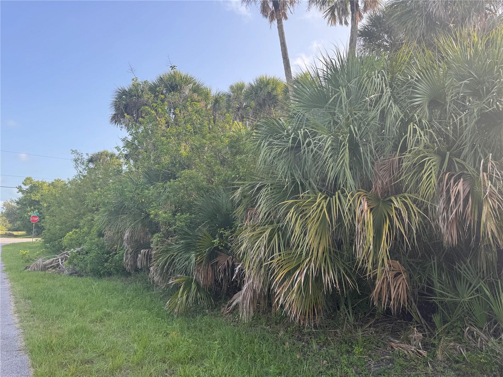 Image 9 of 10 For 141 Garland Way