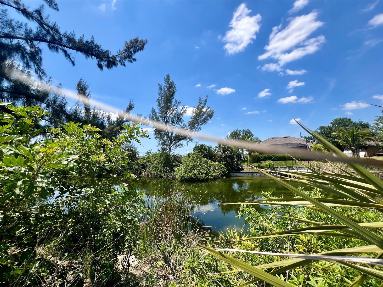 Details for 2234 2nd Avenue, CAPE CORAL, FL 33993