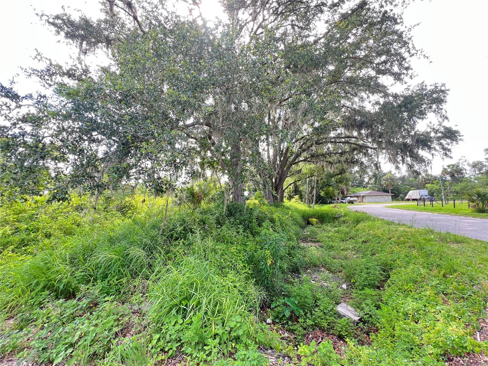 Image 6 of 17 For  Ash Street 